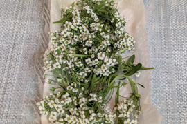 お料理を華やかに、アリッサム30房、エディブルフラワー