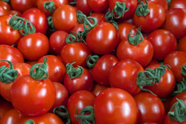 千葉県産　ミディトマト（レッドオーレ）【１ｋｇ】＜水耕栽培＞天空のとまと！美味しすぎたらごめんなさい。。。