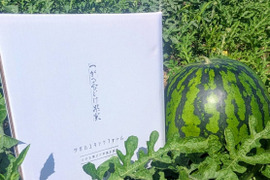 スイカの通販｜果物｜食べチョク｜産地直送(産直)お取り寄せ通販