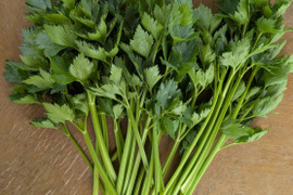 スープセロリ フレッシュ 100g