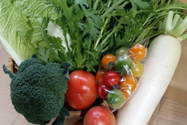 （予約）松宮ファームの秋冬京野菜　５点セット！！