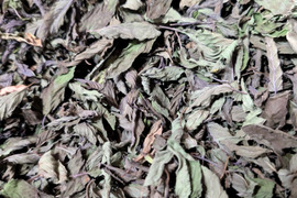 香り豊かなキャンディミント ドライ 10g