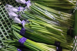 今が旬！ホワイト6片　にんにくの芽1kg　栽培中・化成肥料農薬不使用