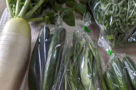 ちょっとだけ選べる！野菜セット（5品目）