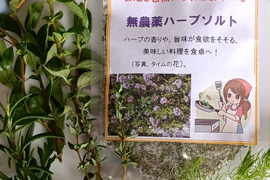 料理の旨味が増す、ハーブソルト❣２０ｇ