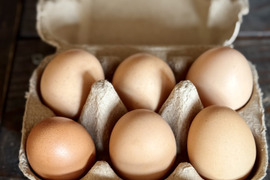 １日数量限定 平飼いブラマの卵６個入り