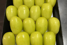厳選粒売りシャインマスカット 約1kg