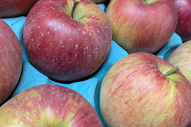 信州りんご🍎小玉４キロパック詰め