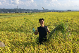 令和4年産石川県産特別栽培米コシヒカリ希夢良米　白米5キロ