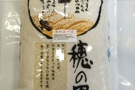 令和6年産 新米 石川県産 ゆめみずほ 白米 5kg