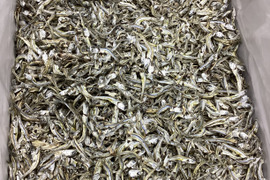 リクエストでセット　17日までの価格です　ふぞろい大き目かえり300g6袋　ひじき20gの6袋【このセットを作ってのリクエストの方向けですのでリクエストした方以外が注文すると満足度が低い恐れがあります