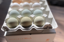 【５種の卵詰め合わせ！】チキチータの自然卵27個入り