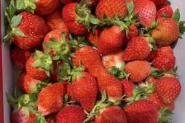 お買い得♪ジャム用いちご（ゆうべに）1kg