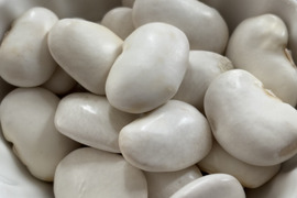 北海道産　白花豆　500g（250g✖️2p）