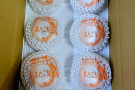 【鳥取産】  愛宕梨！