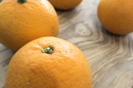 果汁溢れる糖度12度以上🍊清見オレンジ3kg