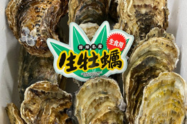 ☆生食Ok☆厚岸で1番大きいサイズ❗️(15個入れ)