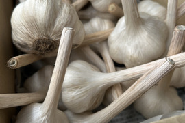 ニンニク1.5kg 農薬化学肥料不使用