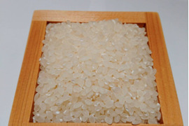 限定プレミアム米　大粒2ｍｍ選別　特別栽培米コシヒカリ　5㎏