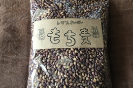 もち麦　ダイシモチ農薬化学肥料不使用　熊本県産250g×4 1kg