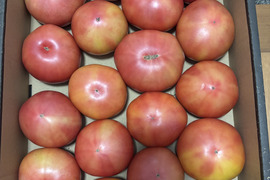 お買得！！訳ありトマト（約3.5〜4K） ×2箱