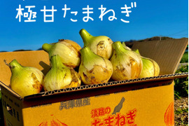 ちょっと訳あり品【極甘】『すごくあま〜い』あま〜くて水々しい淡路島産新玉ねぎ　5kg