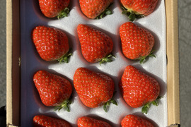 予約販売「高原の魔女」350g×2p