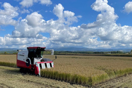北海道の良質米表彰者が作る少量栽培【ゆめぴりか】玄米５㎏（令和５年産）