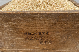 令和７年産山城産米　ヒノヒカリ　玄米　　１０kg