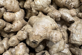 千葉県の生姜で産地直送の商品｜食べチョク｜産地直送(産直)お
