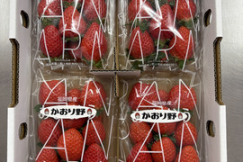 【即日発送】かおり野＋紅ほっぺの食べ比べ8パックセット