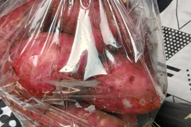 不揃い紅はるか５キロ