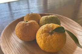 訳あり｜【期間中農薬不使用】豊田市旭産 『柚子』 2kg　※梱包込