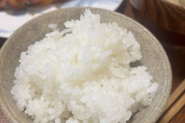 【定期購入】【令和7年産新米】【精米】東北アルプスの伏流水で育てた 『新潟県産・特別栽培米コシヒカリ5kg』＋生味噌1kgのセット