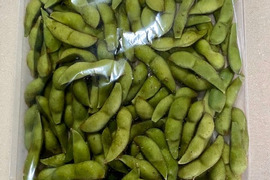 丹波黒枝豆　有機JAS認定　無肥料・自然栽培　500g