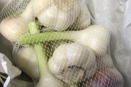 【期間限定】今だけ！採れたてフレッシュ！新にんにく（約1kg／10～12玉）