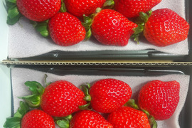 あまりん 7粒～15粒‼️ 2パック