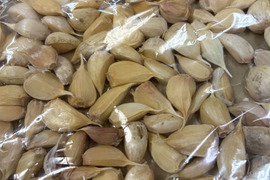 2025年新物　北海道産にんにく【ホワイト六片】バラ500g※一部皮むけあり