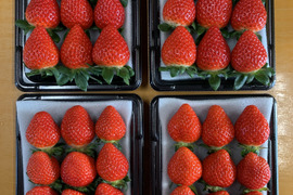 【あまりん・かおりん・べにたま】食べ比べ４パック(1Kg)🍓