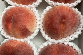 【ご自宅用】夢みずき2kg🍑