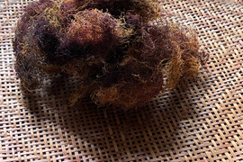 採れたて糸魚川産天然エゴ草 100g