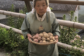 三木農園の紹介 徳島県 食べチョク 農家 漁師の産直ネット通販 旬の食材を生産者直送