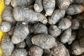 ねっとり柔らかい大福の里芋　1.5キロ