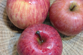 りんご　サンふじ　約６８％農薬カット　20-23個　約6キロ　小玉多め　キズ等、黒点できるだけ無いりんご 　天然冷蔵庫で冬越したもの。かなり鮮度落ちてます。