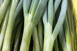 立派‼︎　九条ネギ　500g✖️3袋