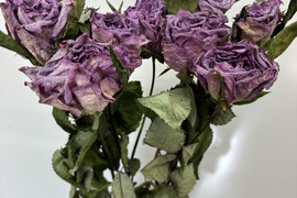 【ドライ】10本　自然乾燥で仕上げたドライフラワー　紫