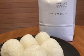 ササニシキ 白米 5kg 精米後発送