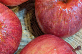 りんご　サンふじ　約６８％農薬カット　20-23個　約6キロ　小玉多め　天然冷蔵庫で冬越したもの。シワシワ有りで、かなり鮮度落ちてます。