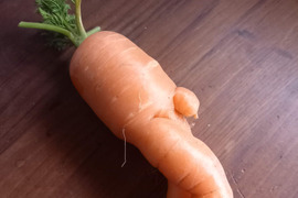 【お得】黒田五寸人参B品〈農薬等、肥料も不使用栽培〉5キロ