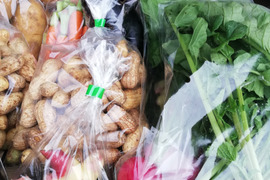 L 旬の野菜セット(6~7種類程度)